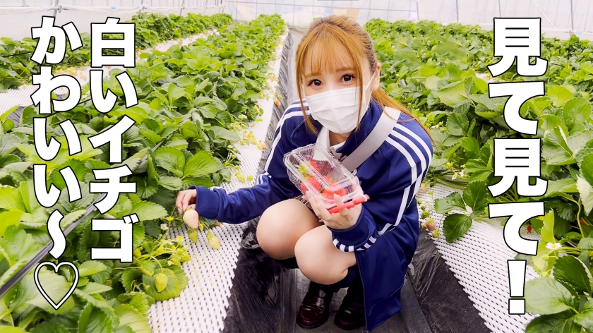 サンプル画像1